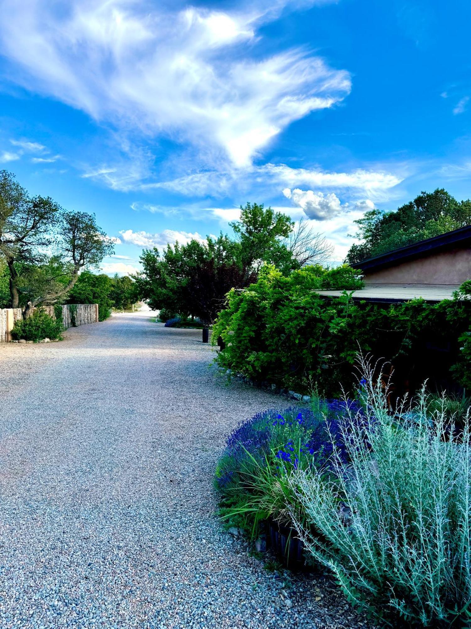 Historic Adobe 1 Acre Compound Ultimate Immersion Classic & Dreamy *